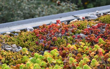 the cost of Easter Kilwhiss green roof installation