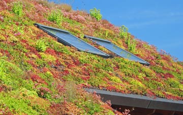 Easter Kilwhiss living roof systems