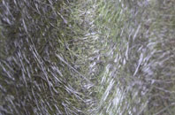 Easter Kilwhiss fibreglass roof work